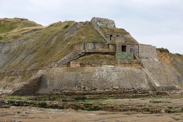 Étoile de mer : vos vacances idéales à wimereux !